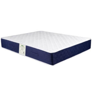 تشک ویستر کینگ | طبی فنر منفصل