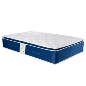 تشک ویستر رایکا | طبی بدون فنر