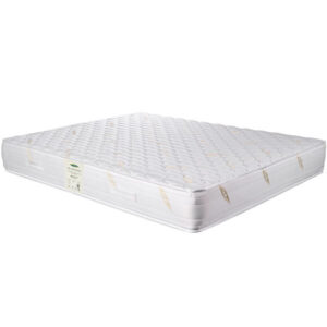 تشک دکتر ویستر ارتوپدیک | طبی فنر متصل